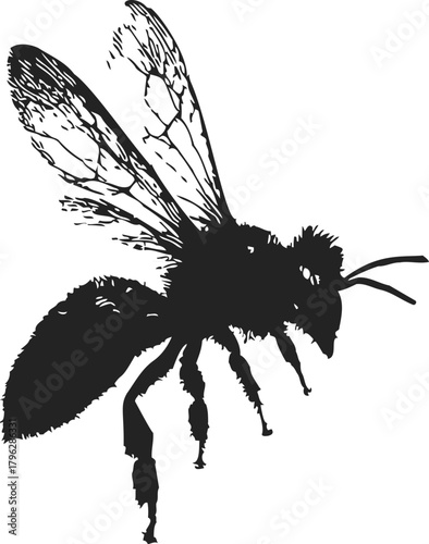 Bee silhouette sketch, hand drawn style with detailed wings and body — stock vector