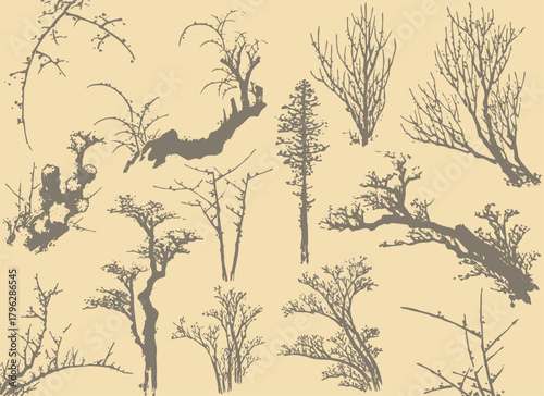 Different silhouette collection of branch and trees