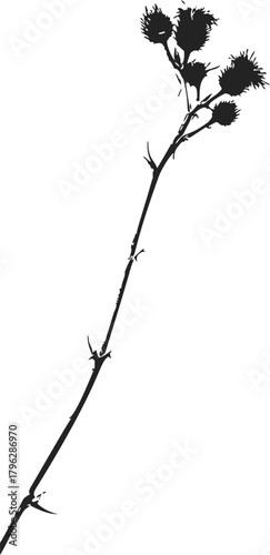 Thistle plant, hand drawn sketch silhouette with spiky flower heads — stock vector