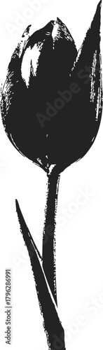 Tulip sketch hand drawn botanical flower with stem and leaf — stock vector