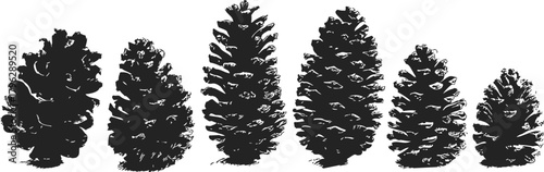 Pine cones sketch hand drawn set with various shapes and sizes isolated — stock vector