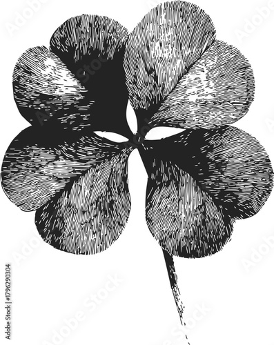Wallpaper Mural Four-leaf clover, hand drawn sketch with fine line art hatching, lucky charm symbol — stock vector Torontodigital.ca