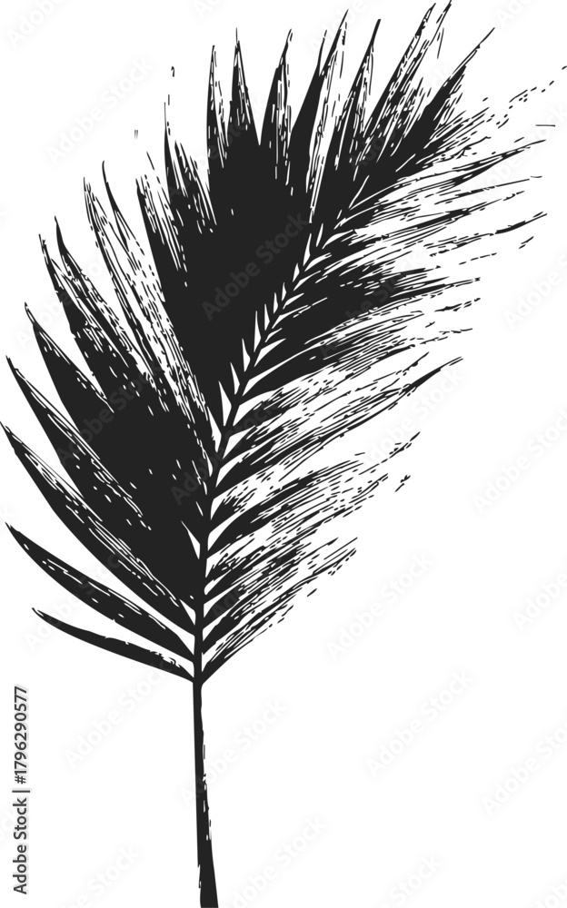 Obraz premium Palm frond sketch hand drawn black ink style isolated on white — stock vector