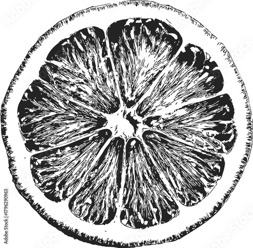 Orange slice sketch, hand drawn citrus fruit cross section, detailed pulp texture — stock vector