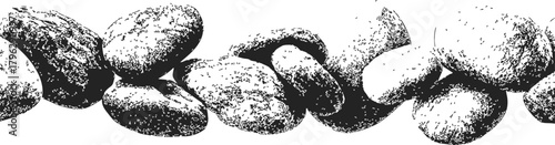 Potatoes, hand drawn sketch style with textured shading on white background — stock vector