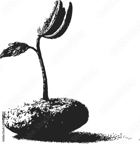 Seedling sprout sketch hand drawn style emerging from seed on white background — stock vector