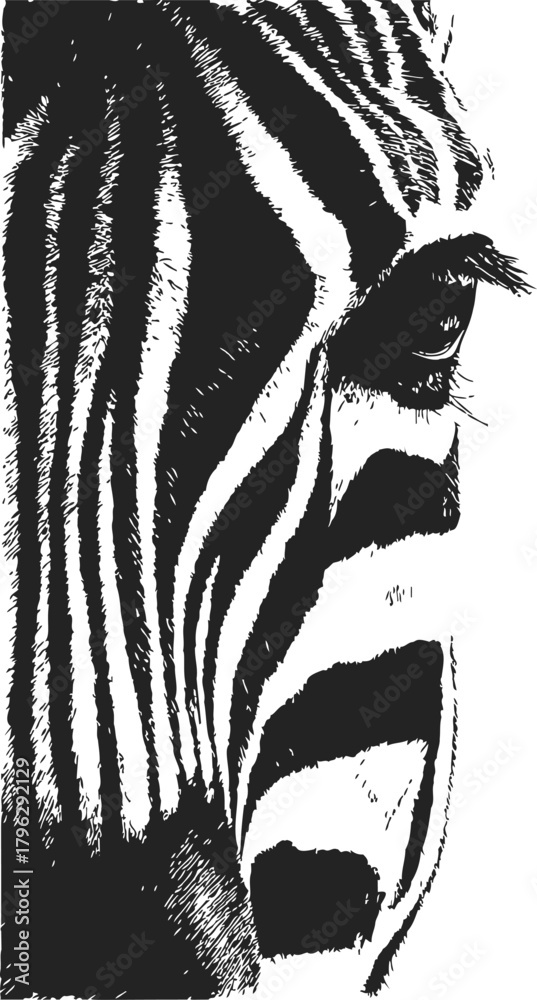 Obraz premium Zebra face sketch, hand drawn vector, close up with detailed stripes and eye — stock vector