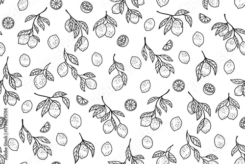 Lemons tree branch seamless pattern. Different branches boundless background hand drawn black and white style. Decorative fruits citrus endless design paper print, textile, wrapper backdrop template