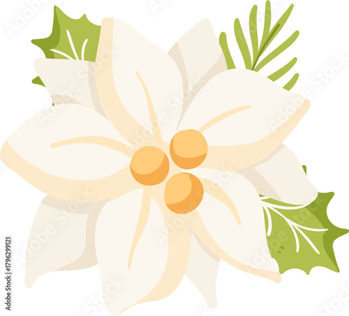 Cute White Poinsettia Christmas Flower Illustration