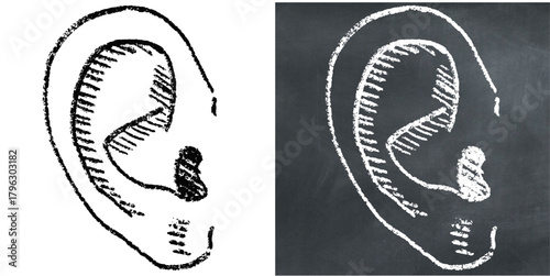 Chalk Handdrawn Ear Vector Ideal for medical, educational, anatomy, and sensory projects requiring a hand-drawn chalkboard aesthetic for the human body.
