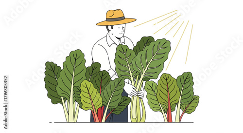 Farmer Harvesting Swiss Chard Under Sunlight, Harvesting Fresh Produce, Conceptual Art
