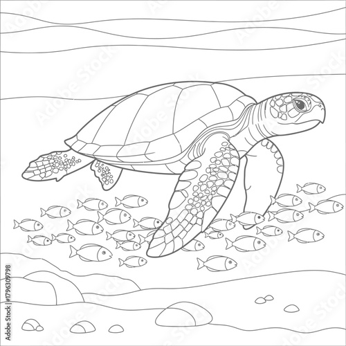 Sea Turtle Swimming with School of Fish Outline - Ocean Life Line Art