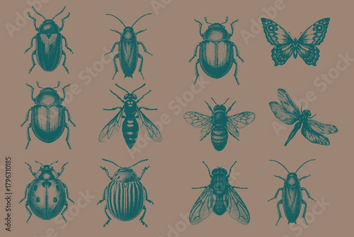 big set of  Vintage insects collection for creative design. Halftone Butterfly, Dragonfly, Honeybee, June Beetle, Cockroach, Stag Beetle, Wasp, Housefly, Potato Beetle. Vector illustration.