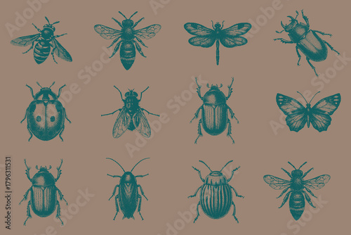 trendy halftone Insects vector illustration. Stag Beetle, Butterfly, Dragonfly, Honey Bee,  Wasp, Housefly, Potato Beetle, Ladybug, June Beetle, Cockroach