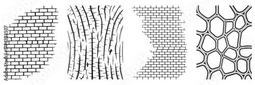 Monochrome Textures Featuring Brick Walls Tree Bark Damaged Walls and Organic Cell Structures an Architectural and Natural Design Collection