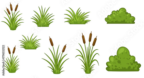 A digitally created vector graphic depicts an assortment of lush green grass tufts and reed plants, perfect for adding natural elements to design projects and illustrations.