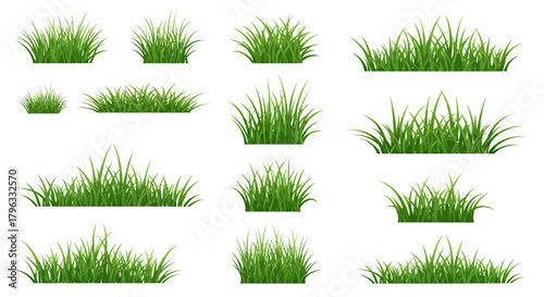 A collection of vibrant green grass elements in a vector format, perfect for adding natural textures and design elements to various creative projects and enhancing visual appeal.