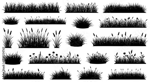 Collection of diverse black silhouette grass and reed elements, perfect for nature scenes and graphic design projects.