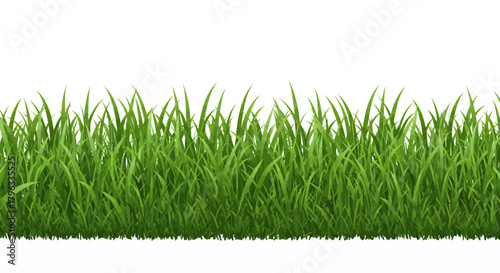 A vibrant green grass border creates a seamless natural element, perfect for spring and summer designs with an isolated transparent background.