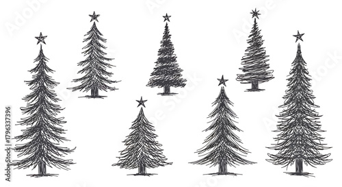 Set of Seven Hand Drawn Christmas Tree Illustrations in Sketch Style for Holiday Design
