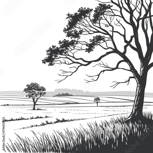 Stylized black and white illustration of a solitary tree in a vast field under a clear sky