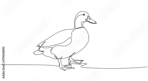 Duck walking in snow line art symbolizing rural winter stillness
