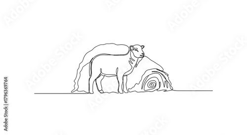 Lamb near snowy haystack line art symbolizing rural winter survival