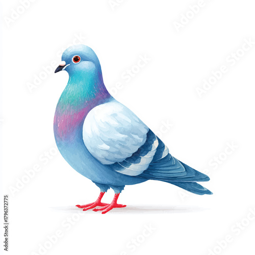 Colorful Pigeon Bird Illustration. Urban Wildlife Art.