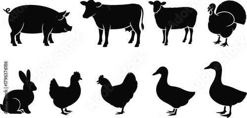 Farm animal silhouettes collection featuring pig, cow, sheep, poultry, rabbit, duck, goose in black vector style for agriculture and education