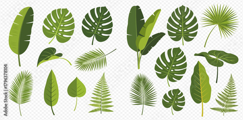 A collection of various green tropical leaves, including monstera, banana, palm, and fern, in a flat vector illustration style.