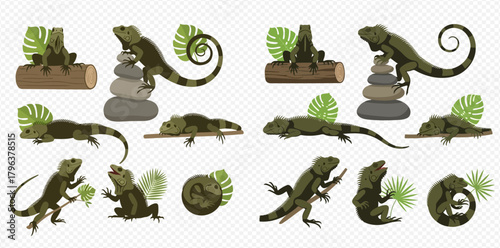 Vector illustration set featuring various green lizards in different poses, interacting with natural elements like logs, stacked stones, and tropical leaves on a transparent background.