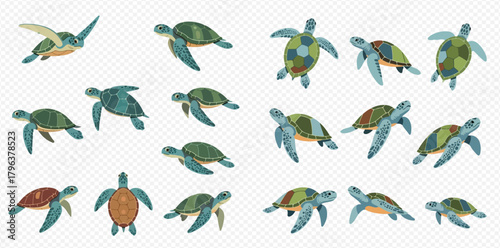 Collection of various sea turtle illustrations in different swimming poses and perspectives, showcasing their unique shell patterns and aquatic grace.