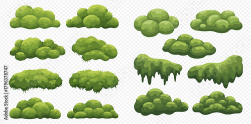 A collection of various green moss and bush elements, including rounded clumps, elongated patches, and hanging moss, isolated on a transparent background.