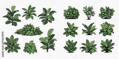 Vector illustration set of various green plants, shrubs, and bushes, perfect for garden and park design elements, landscaping, and architectural renderings.