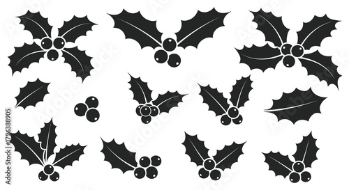 Collection of black silhouette holly sprigs and berries for festive holiday design elements