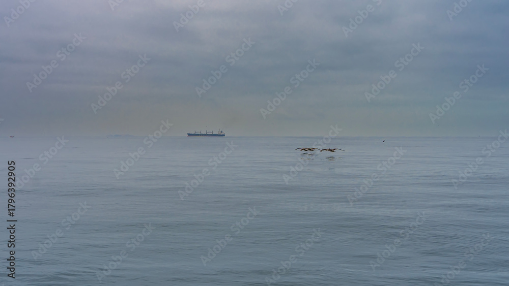 Obraz premium The calm ocean surface. A flock of pelicans flies low over the water, spreading their wings. Reflection. The ship is on the horizon. Peru. Paracas. Pacific ocean.