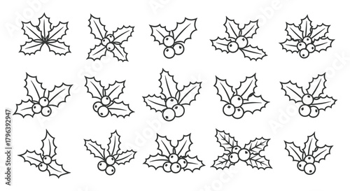 Collection of hand drawn black and white holly leaf and berry illustrations for christmas and winter designs