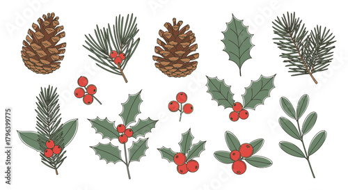 Collection of hand-drawn illustrations featuring pine cones, holly, and various evergreen branches.