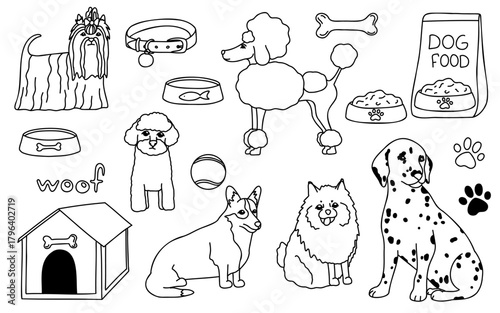 Hand drawn vector doodle set with different dog breeds and dog items