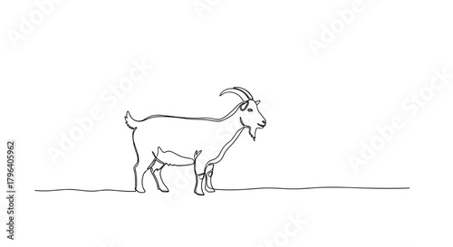 Goat standing in snow — Symbol of rural endurance and winter simplicity