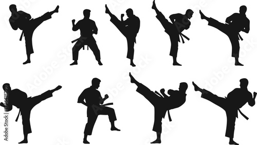 Martial arts silhouette, karate kick pose, taekwondo fighter stance, black belt training, combat movement, self defense, dojo action, discipline