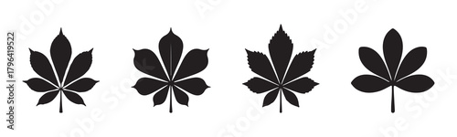 set of autumn leaves silhouette vector