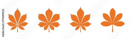 Vector set of black silhouette maple leaves in various styles, perfect for autumn graphics, seasonal designs, and Canadian-themed artwork