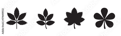 Vector set of black silhouette maple leaves in various styles, perfect for autumn graphics, seasonal designs, and Canadian-themed artwork