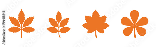 Vector set of black silhouette maple leaves in various styles, perfect for autumn graphics, seasonal designs, and Canadian-themed artwork