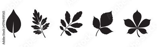 Silhouette leaves collection, botanical foliage shapes, nature plant icons, tree leaf set, autumn greenery, forest elements, cad drawing flat vector illustration