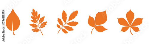 Silhouette leaves collection, botanical foliage shapes, nature plant icons, tree leaf set, autumn greenery, forest elements, cad drawing flat vector illustration