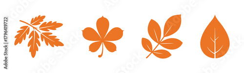 Silhouettes of various autumn leaves in different shapes and sizes.