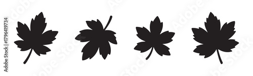 Silhouettes of various autumn leaves in different shapes and sizes.