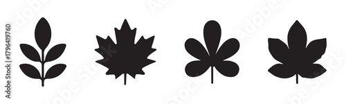 Set of various leaf silhouettes. Autumn and botanical concept.